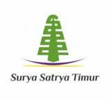 Surya Satrya Timur